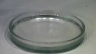 Aminoplast aus Harnstoff und Formaldehyd