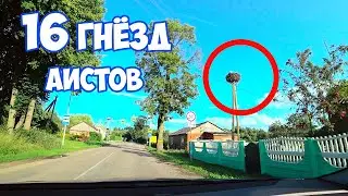 КАЛИНИНГРАДСКАЯ ОБЛАСТЬ - ОЛЬХОВАТКА