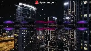 Dynamic BY SHADXWBXRN