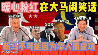 荒謬！小粉紅評馬來西亞完全錯誤！新加坡成功不靠民族血統 而是能力至上！別傻了！血統論優越論是最錯的！美中防長於新加坡會晤 一細節展示新加坡是聰明的！