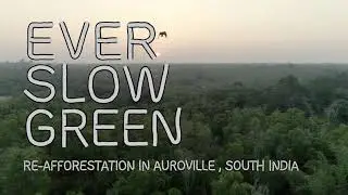 Watch Documentary on  Auroville | Ever Slow Green | Official Trailer | Cinemapreneur OTT
