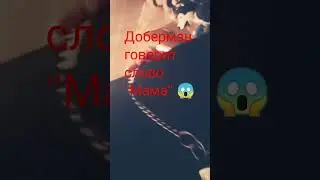 Говорящая порода😱