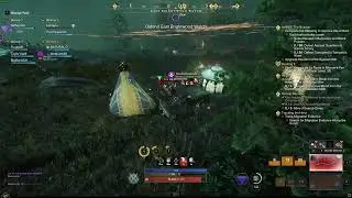 New World Influence Race Brightwood!!