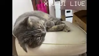 古片：