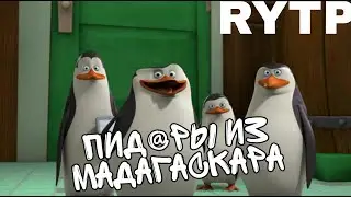 РТП ПИД@РЫ ИЗ МАДАГАСКАРА. RYTP ПИНГВИНЫ ИЗ МАДАГАСКАРА.НОВОЕ РТП.