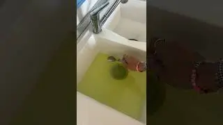 I'm speechless...