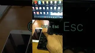 ctrl + esc keys  is used for ???