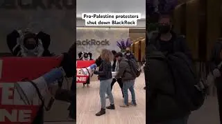 Pro-Palestine activists occupy lobby of BlackRock HQ in NYC, a major investor in Israeli apartheid.