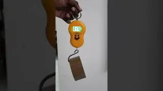 How to Use a Portable Electronic Scale | Portable Weighing Scale |#Shorts