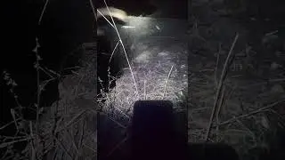 Почему опасно прыгать в прорубь зимой? 