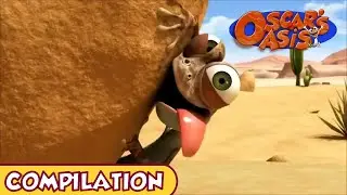 Oscar's Oasis - August COMPILATION