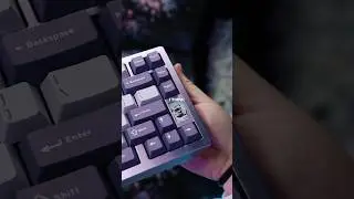 The BEST Budget Keyboard for $89 