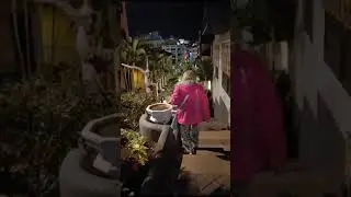 Вечерняя прогулка