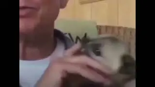 Dog bite this guy ￼