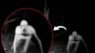 Mysterious Alien Humanoid Spotted In Canadian Woods Sparks Government Coverup Row