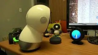 Battle Royale - Jibo vs Alexa (Echo Spot) vs Google Home Mini