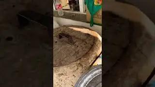 Настоящая Узбекская Сочная Самса! Рыбец 64