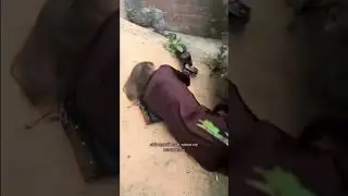 Gnomo alcoholic
