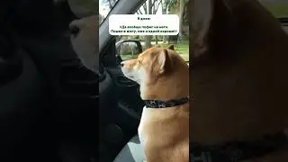 ЭТО ТОЧНО!