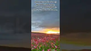 Некрасивая душа.