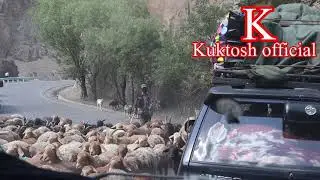 рохи душанбе худжанд 2021
