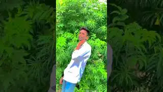 tag your love #shorts #youtubeshorts #trending #love #vralvideo #jaan #comment #jaan