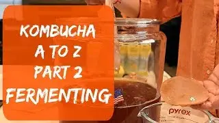 How To Make Kombucha At Home With The Homegrown Baby Scoby