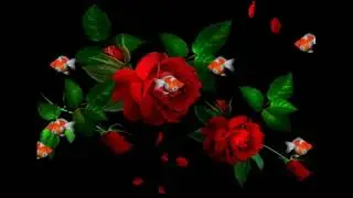 для себя любимой #для себя#себелюбимой#тебепожелание#цветы