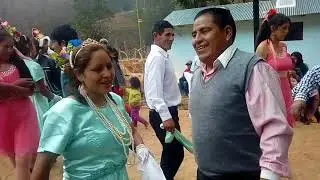 Ortega Gámez Pallas