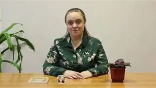 Техника безопасности при проведении расстановки, психодрамы