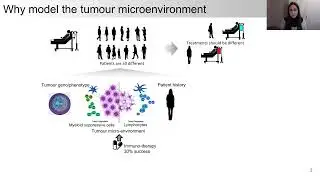 Webinar: Data-driven modelling of intercellular interactions in the tumour microenvironment