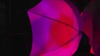 Lucky FOTO Studio Live Stream