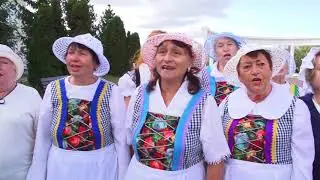 Саратовcкая область
