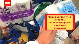 VLOG: Цены на продукты в Испании.Закупка Продуктов в магазине Меркадона