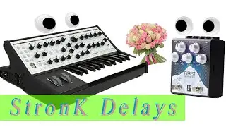 Moog Sub Phatty meets Everest Stereo