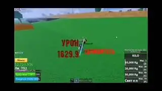 обзор блокс фруит кило фрукт