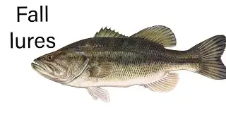 3 fall lures to give a try