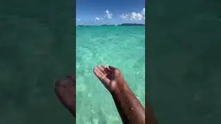 POV partir au Caraïbes #travelvlog #partir