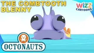 ​