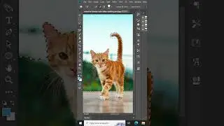 How to remove object in Photoshop 