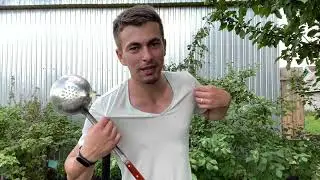 Казанда яңа бәрәңге пешерәбез / готовим молодую картошку в казане