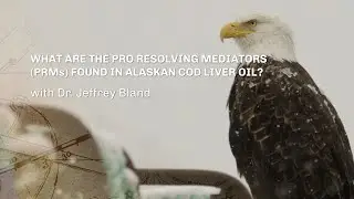 What are the Pro Resolving Mediators (PRMs) found in Alaskan Cod Liver Oil? (w/ Dr. Jeffrey Bland)