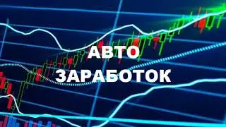 #инвестиции#мотивация#форекс     PRIME PROFIT 2021.АВТОМАТИЧСКИЙ ЗАРАБОТОК