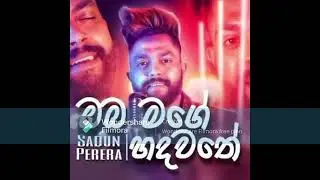 oba mage hadawathe palduwa