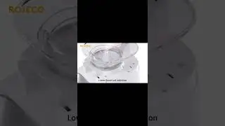 ROJECO 4L Automatic Cat Feeder Pet Cat Food Kibble Dispenser Pet Smart WiFi Remote Control Auto