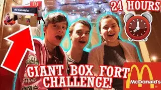 24 Hours Overnight in a Giant McDonalds Box Fort Challenge!