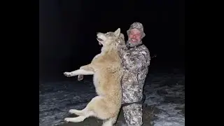 СМЕРШ. Смерть шакалам!