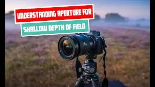 Understanding Aperture for Shallow Depth of Field | Photography Tutorial