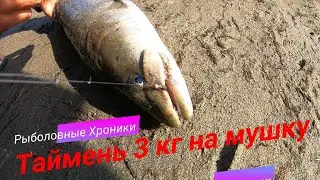 ТЫВА И ЖОР ТАЙМЕНЕЙ 2020!!!/ 1 СЕРИЯ- НАЧАЛО ПУТИ!!!/ ТАЙМЕНЬ 3 КГ НА МУШКУ!!! РЫБАЛКА - СПЛАВОМ!!!