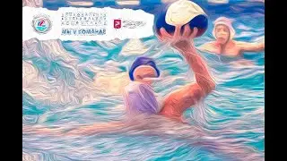 Сила в единстве. НВА Юниор. Флайфиш – Витязи